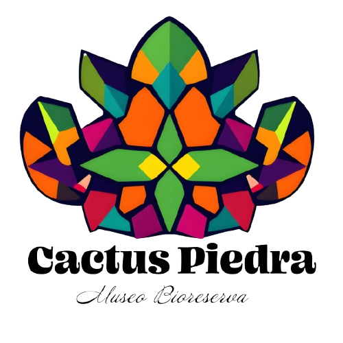 Cactus Piedra